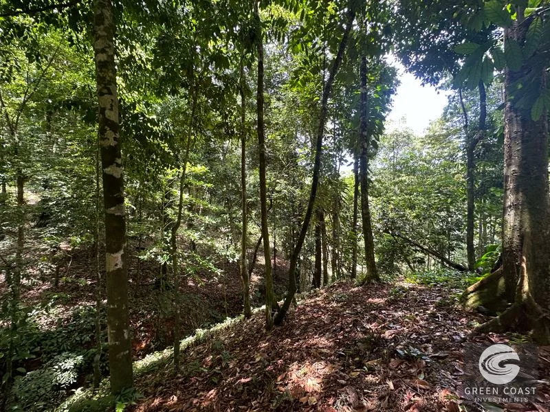 Ballena Mountain Estate: 1.6 Acres of Private Jungle Views Near Uvita & Beaches — view 13, Ballena, Ballena, Costa Rica