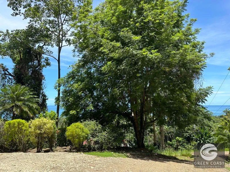 Ballena Mountain Estate: 1.6 Acres of Private Jungle Views Near Uvita & Beaches — view 14, Ballena, Ballena, Costa Rica
