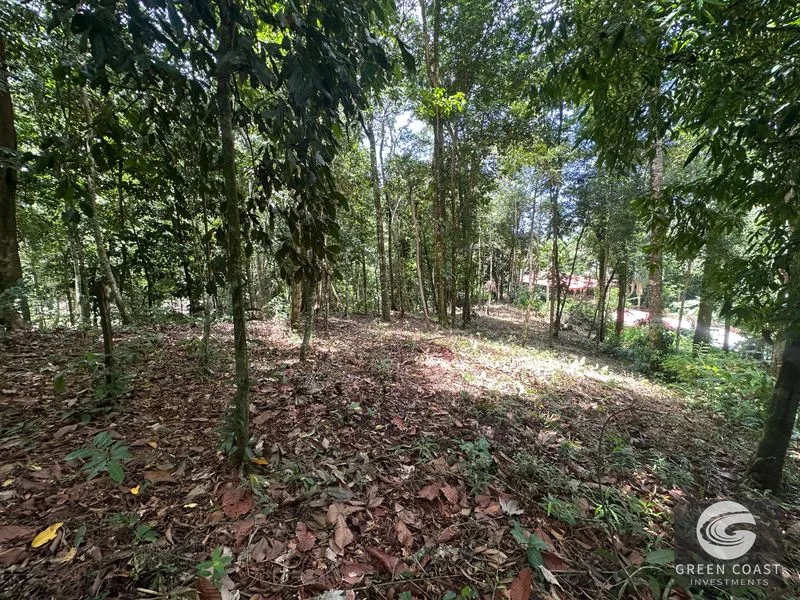 Ballena Mountain Estate: 1.6 Acres of Private Jungle Views Near Uvita & Beaches — view 16, Ballena, Ballena, Costa Rica