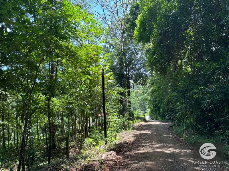 Ballena Mountain Estate: 1.6 Acres of Private Jungle Views Near Uvita & Beaches — view 17, Ballena, Ballena, Costa Rica