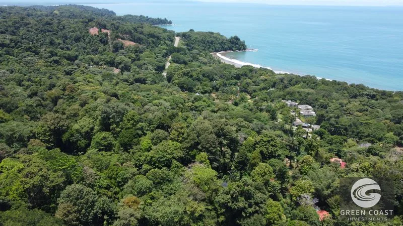 Ballena Mountain Estate: 1.6 Acres of Private Jungle Views Near Uvita & Beaches — view 18, Ballena, Ballena, Costa Rica