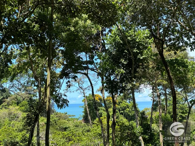 Ocean View Hilltop Lot in Hatillo | 8.89 Acres Near Dominical, Costa Rica — view 1, Dominical, Costa Rica