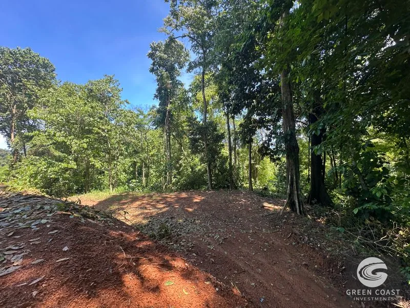 Ocean View Hilltop Lot in Hatillo | 8.89 Acres Near Dominical, Costa Rica — view 6, Dominical, Costa Rica