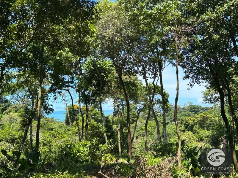 Ocean View Hilltop Lot in Hatillo | 8.89 Acres Near Dominical, Costa Rica — view 8, Dominical, Costa Rica