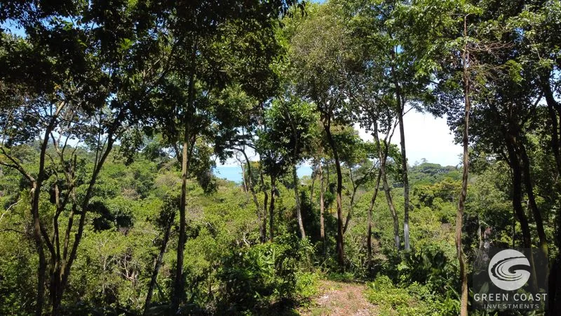 Ocean View Hilltop Lot in Hatillo | 8.89 Acres Near Dominical, Costa Rica — view 11, Dominical, Costa Rica