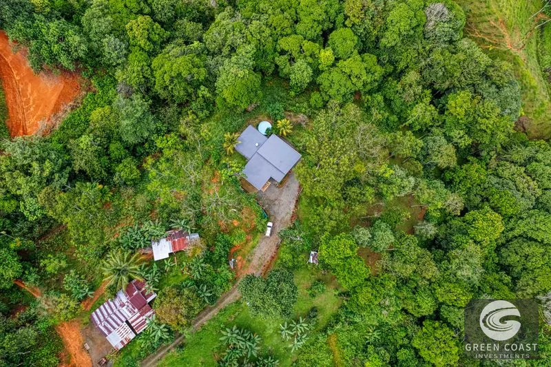 Dominical Mountain Retreat: Ocean Glimpses & Fruit Orchard — view 28, Dominical, Costa Rica