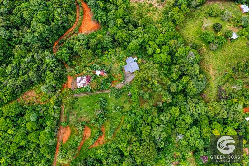 Dominical Mountain Retreat: Ocean Glimpses & Fruit Orchard — view 29, Dominical, Costa Rica
