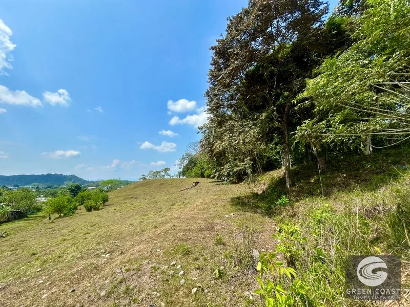 12.3-Acre Palmar Norte Development Land: Costanera Access, Views & Future Airport Proximity — view 1, Palmar, Osa, Costa Rica