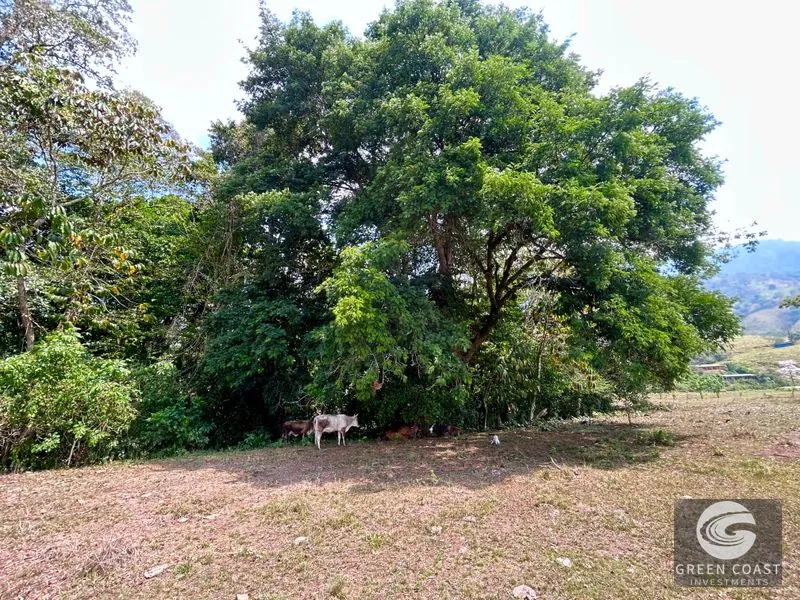 12.3-Acre Palmar Norte Development Land: Costanera Access, Views & Future Airport Proximity — view 5, Palmar, Osa, Costa Rica