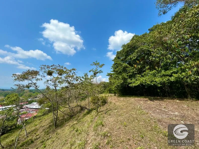12.3-Acre Palmar Norte Development Land: Costanera Access, Views & Future Airport Proximity — view 6, Palmar, Osa, Costa Rica