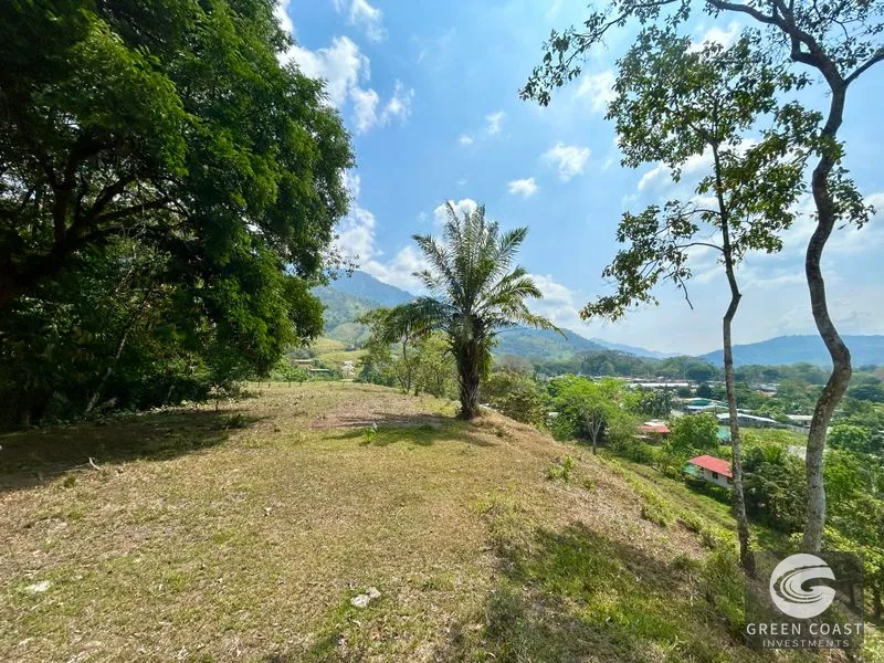 12.3-Acre Palmar Norte Development Land: Costanera Access, Views & Future Airport Proximity — view 7, Palmar, Osa, Costa Rica