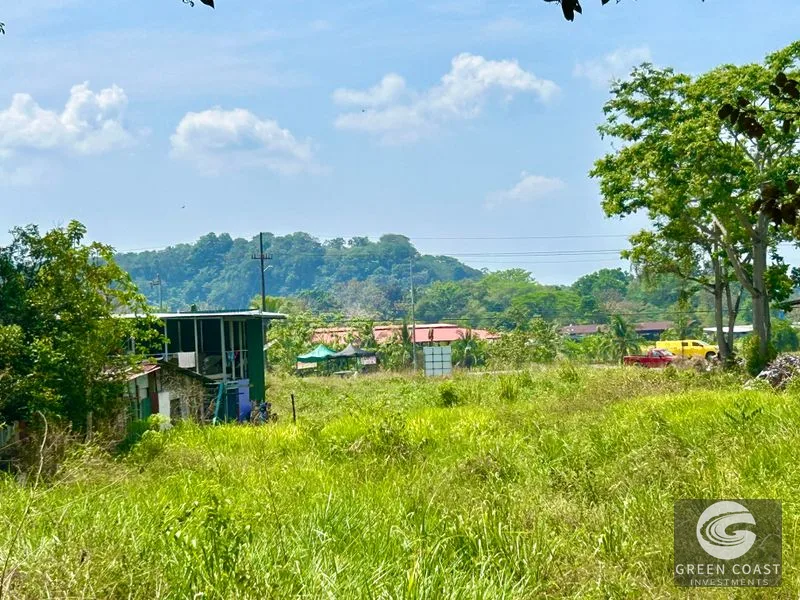 12.3-Acre Palmar Norte Development Land: Costanera Access, Views & Future Airport Proximity — view 9, Palmar, Osa, Costa Rica