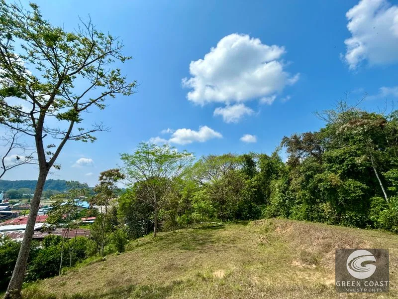 12.3-Acre Palmar Norte Development Land: Costanera Access, Views & Future Airport Proximity — view 11, Palmar, Osa, Costa Rica