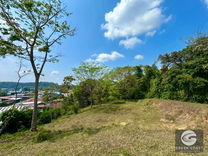 12.3-Acre Palmar Norte Development Land: Costanera Access, Views & Future Airport Proximity — view 12, Palmar, Osa, Costa Rica