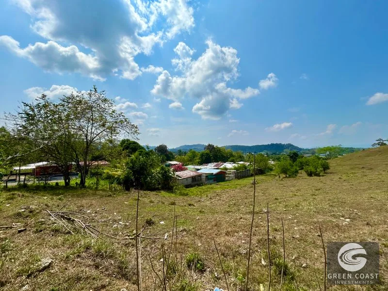 12.3-Acre Palmar Norte Development Land: Costanera Access, Views & Future Airport Proximity — view 14, Palmar, Osa, Costa Rica
