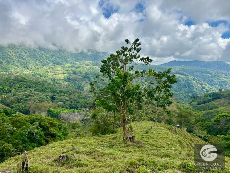 17.2 Acre Ocean & Mountain View Land Near Uvita - Build Your Dream Retreat — view 4, Uvita, Uvita, Costa Rica