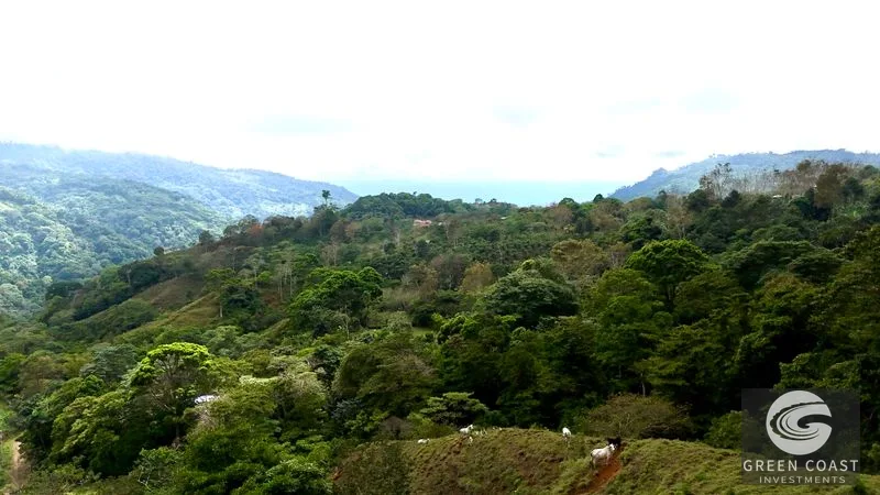 17.2 Acre Ocean & Mountain View Land Near Uvita - Build Your Dream Retreat — view 16, Uvita, Uvita, Costa Rica