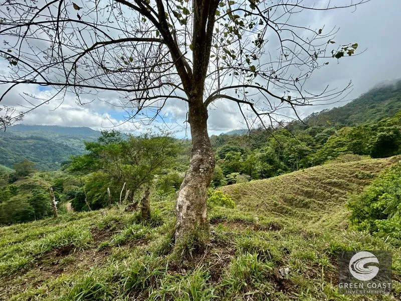 17.2 Acre Ocean & Mountain View Land Near Uvita - Build Your Dream Retreat — view 19, Uvita, Uvita, Costa Rica