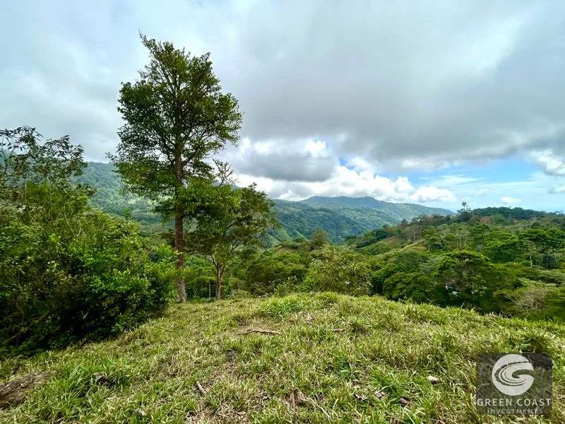 17.2 Acre Ocean & Mountain View Land Near Uvita - Build Your Dream Retreat — view 21, Uvita, Uvita, Costa Rica