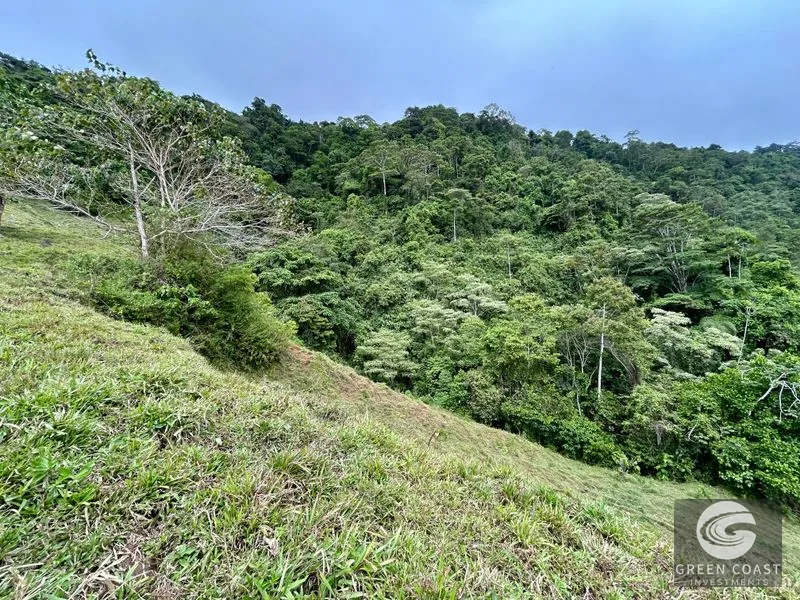 17.2 Acre Ocean & Mountain View Land Near Uvita - Build Your Dream Retreat — view 26, Uvita, Uvita, Costa Rica