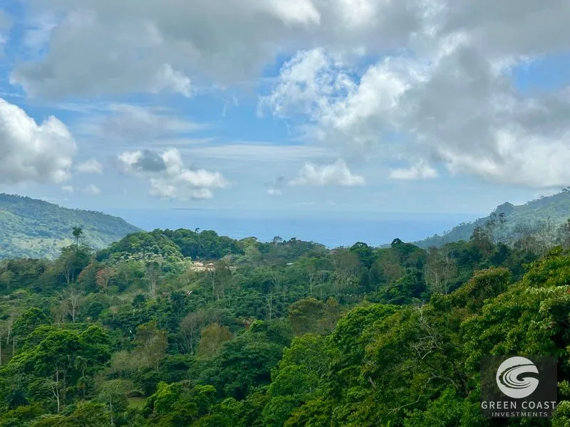 17.2 Acre Ocean & Mountain View Land Near Uvita - Build Your Dream Retreat — view 30, Uvita, Uvita, Costa Rica
