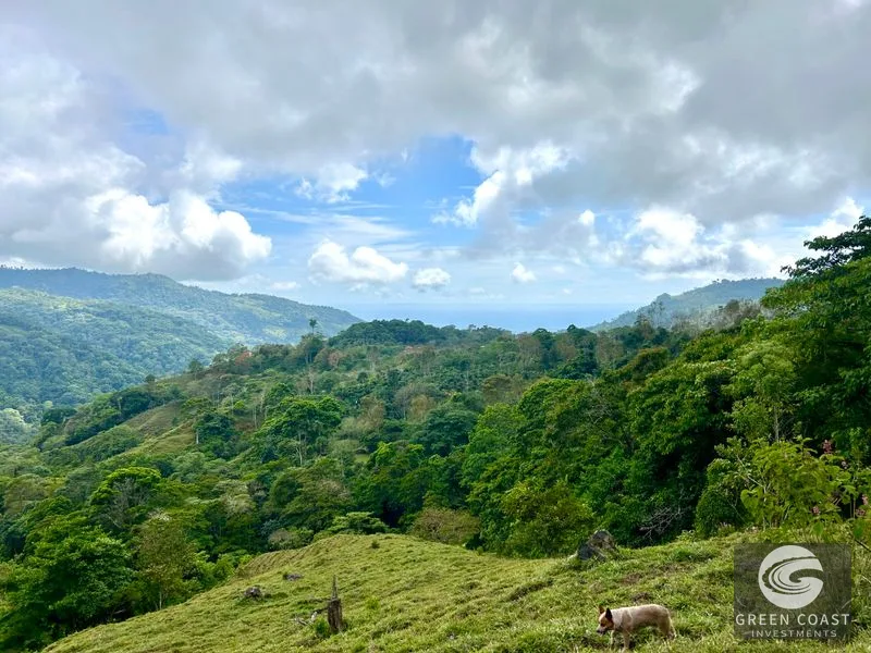 17.2 Acre Ocean & Mountain View Land Near Uvita - Build Your Dream Retreat — view 34, Uvita, Uvita, Costa Rica
