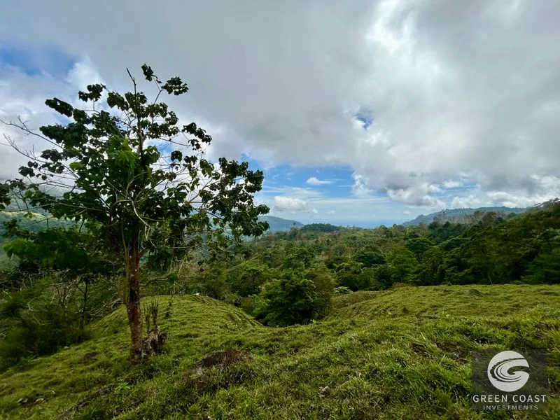 17.2 Acre Ocean & Mountain View Land Near Uvita - Build Your Dream Retreat — view 36, Uvita, Uvita, Costa Rica