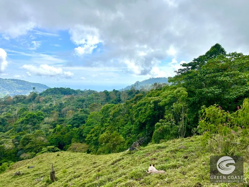 17.2 Acre Ocean & Mountain View Land Near Uvita - Build Your Dream Retreat — view 40, Uvita, Uvita, Costa Rica