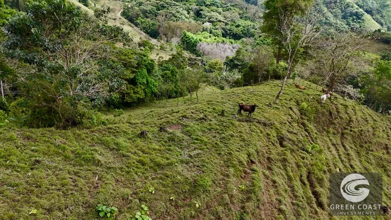 17.2 Acre Ocean & Mountain View Land Near Uvita - Build Your Dream Retreat — view 46, Uvita, Uvita, Costa Rica