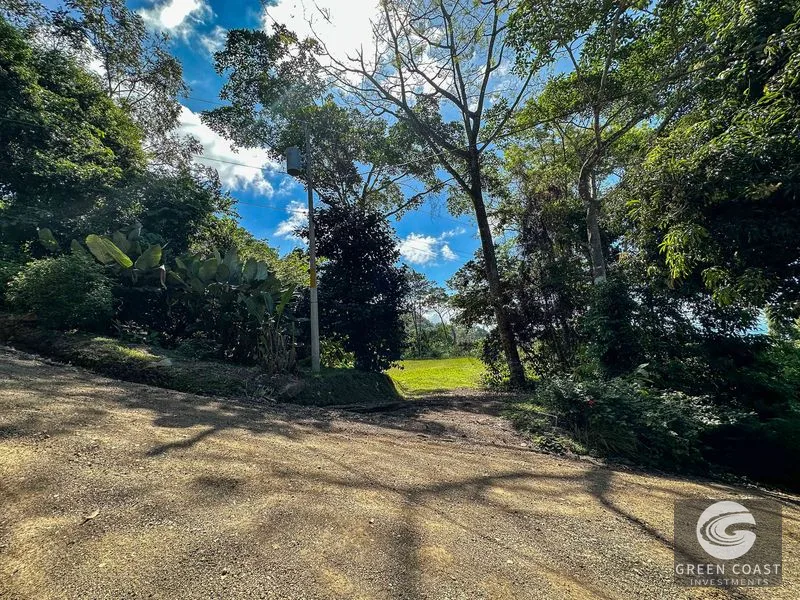 1.5 Acre Jungle Lot with Panoramic Whale's Tail & Ocean Views - Near Uvita! — view 8, Uvita, Osa, Costa Rica