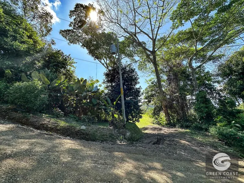1.5 Acre Jungle Lot with Panoramic Whale's Tail & Ocean Views - Near Uvita! — view 10, Uvita, Osa, Costa Rica