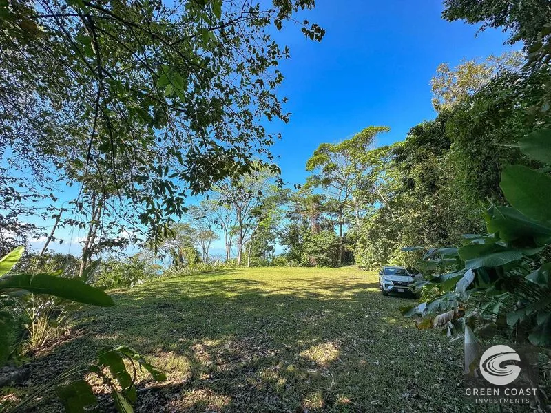1.5 Acre Jungle Lot with Panoramic Whale's Tail & Ocean Views - Near Uvita! — view 17, Uvita, Osa, Costa Rica