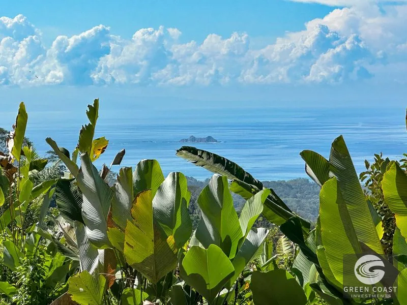1.5 Acre Jungle Lot with Panoramic Whale's Tail & Ocean Views - Near Uvita! — view 19, Uvita, Osa, Costa Rica
