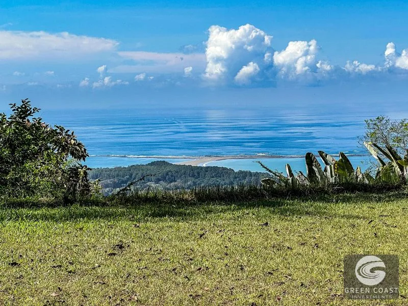 1.5 Acre Jungle Lot with Panoramic Whale's Tail & Ocean Views - Near Uvita! — view 22, Uvita, Osa, Costa Rica