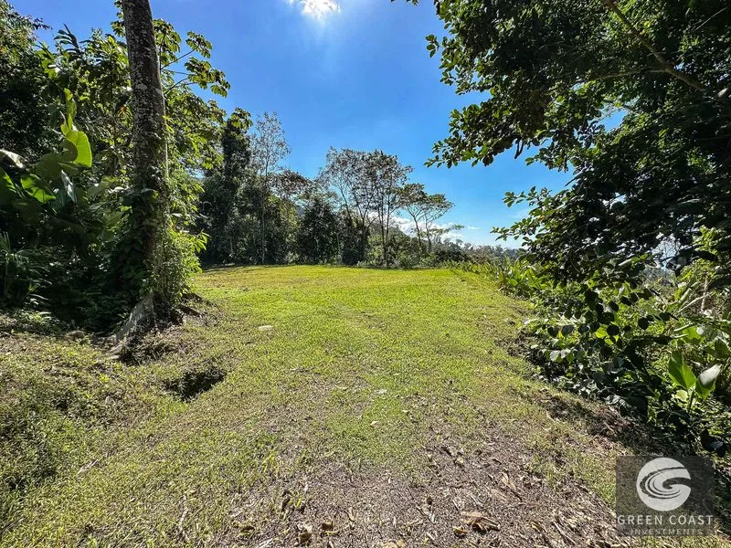 1.5 Acre Jungle Lot with Panoramic Whale's Tail & Ocean Views - Near Uvita! — view 23, Uvita, Osa, Costa Rica