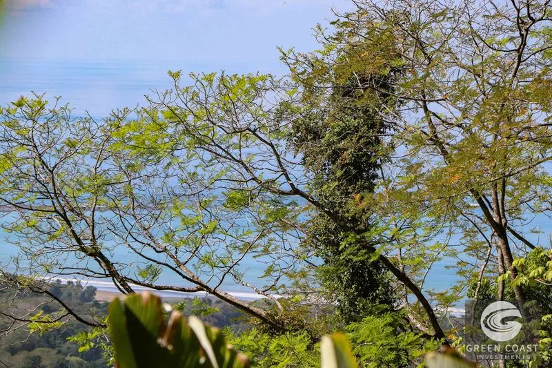 1.5 Acre Jungle Lot with Panoramic Whale's Tail & Ocean Views - Near Uvita! — view 25, Uvita, Osa, Costa Rica
