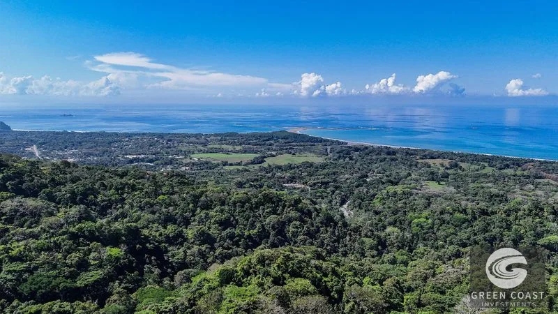 1.5 Acre Jungle Lot with Panoramic Whale's Tail & Ocean Views - Near Uvita! — view 26, Uvita, Osa, Costa Rica