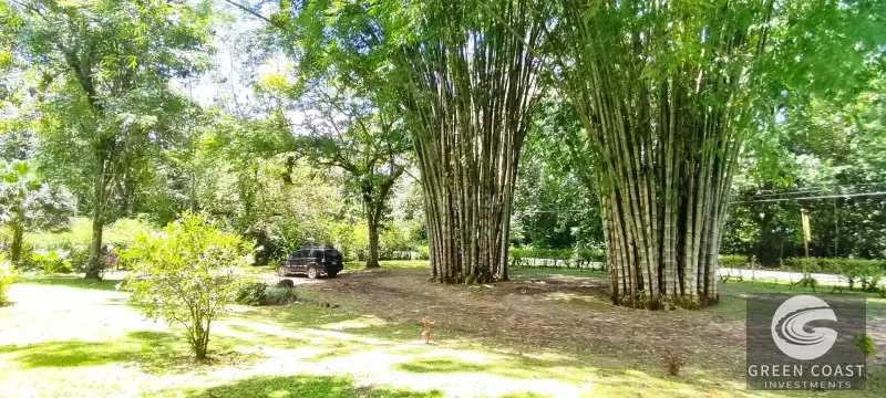 Ojochal Main Road Commercial Gem with Studio Villa & Gardens - Walk to Amenities! — view 15, Ojochal, Ojochal, Costa Rica