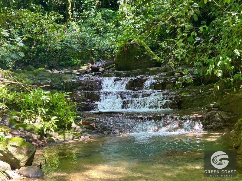 5.9-Acre Jungle Estate Near Uvita: Creeks, Wildlife & Prime Building Site — view 2, Uvita, Uvita, Costa Rica