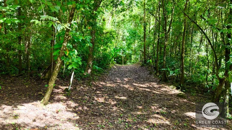 5.9-Acre Jungle Estate Near Uvita: Creeks, Wildlife & Prime Building Site — view 3, Uvita, Uvita, Costa Rica