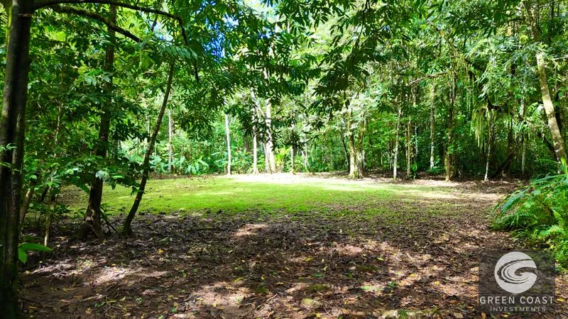 5.9-Acre Jungle Estate Near Uvita: Creeks, Wildlife & Prime Building Site — view 4, Uvita, Uvita, Costa Rica