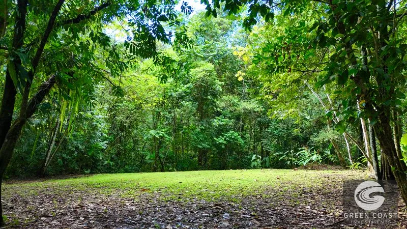 5.9-Acre Jungle Estate Near Uvita: Creeks, Wildlife & Prime Building Site — view 5, Uvita, Uvita, Costa Rica