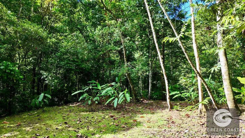 5.9-Acre Jungle Estate Near Uvita: Creeks, Wildlife & Prime Building Site — view 6, Uvita, Uvita, Costa Rica