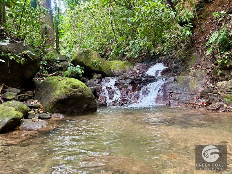 5.9-Acre Jungle Estate Near Uvita: Creeks, Wildlife & Prime Building Site — view 7, Uvita, Uvita, Costa Rica