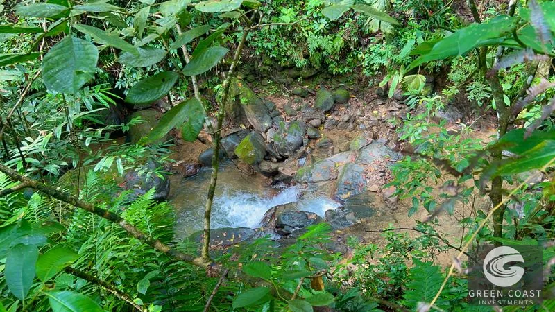 5.9-Acre Jungle Estate Near Uvita: Creeks, Wildlife & Prime Building Site — view 8, Uvita, Uvita, Costa Rica