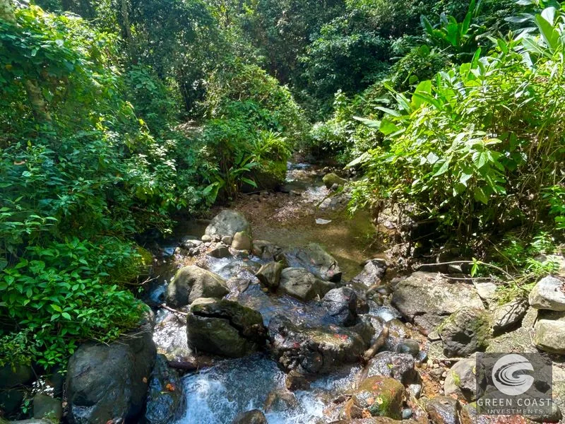 5.9-Acre Jungle Estate Near Uvita: Creeks, Wildlife & Prime Building Site — view 9, Uvita, Uvita, Costa Rica