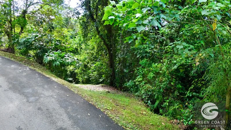 5.9-Acre Jungle Estate Near Uvita: Creeks, Wildlife & Prime Building Site — view 10, Uvita, Uvita, Costa Rica
