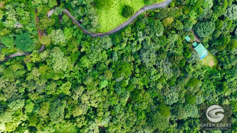 5.9-Acre Jungle Estate Near Uvita: Creeks, Wildlife & Prime Building Site — view 11, Uvita, Uvita, Costa Rica