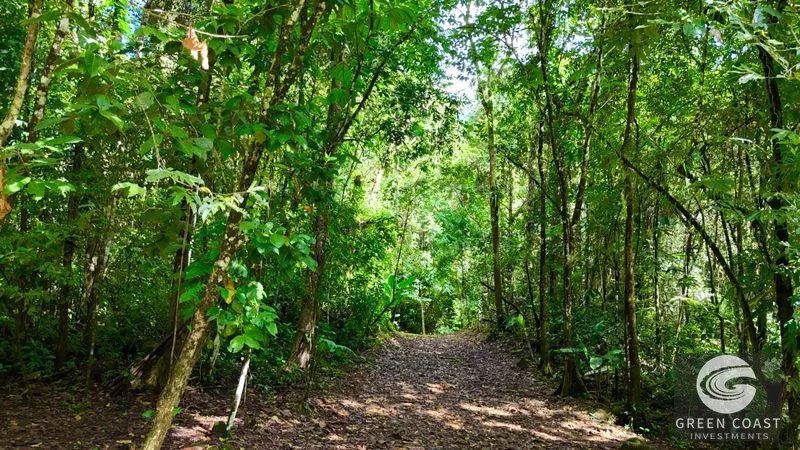 5.9-Acre Jungle Estate Near Uvita: Creeks, Wildlife & Prime Building Site — view 14, Uvita, Uvita, Costa Rica