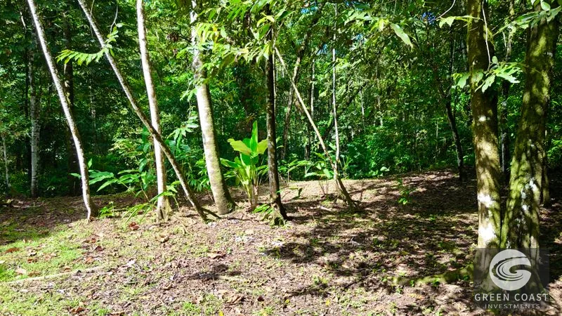 5.9-Acre Jungle Estate Near Uvita: Creeks, Wildlife & Prime Building Site — view 15, Uvita, Uvita, Costa Rica